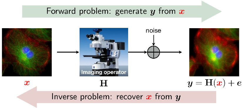 ECLIPSE Presentations Data Science For Electron Microscopy Lecture 8 
