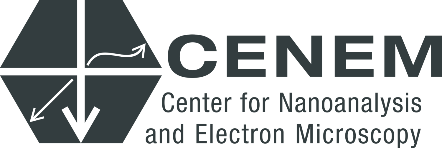 CENEM Logo