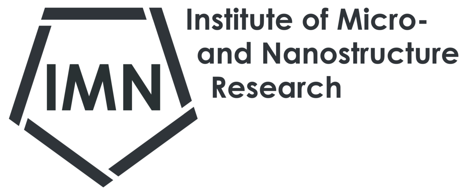 IMN Logo