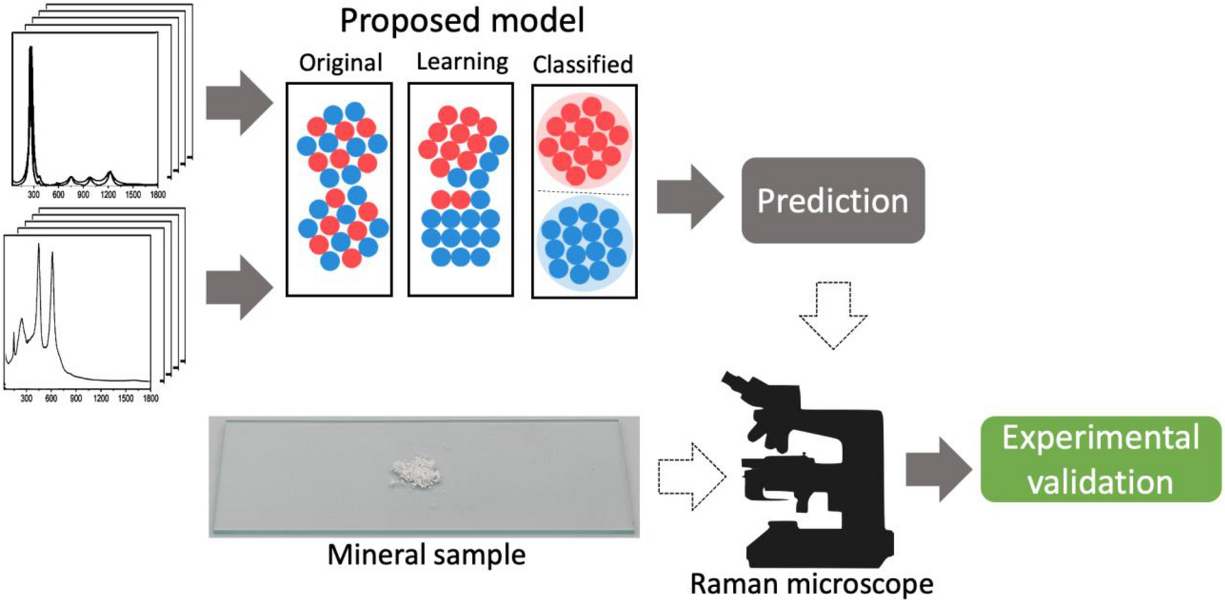 Raman spectral line stacks feeding a classification model, embedding visualization from mixed to separated classes, and experimental validation with a powder sample and Raman microscope.