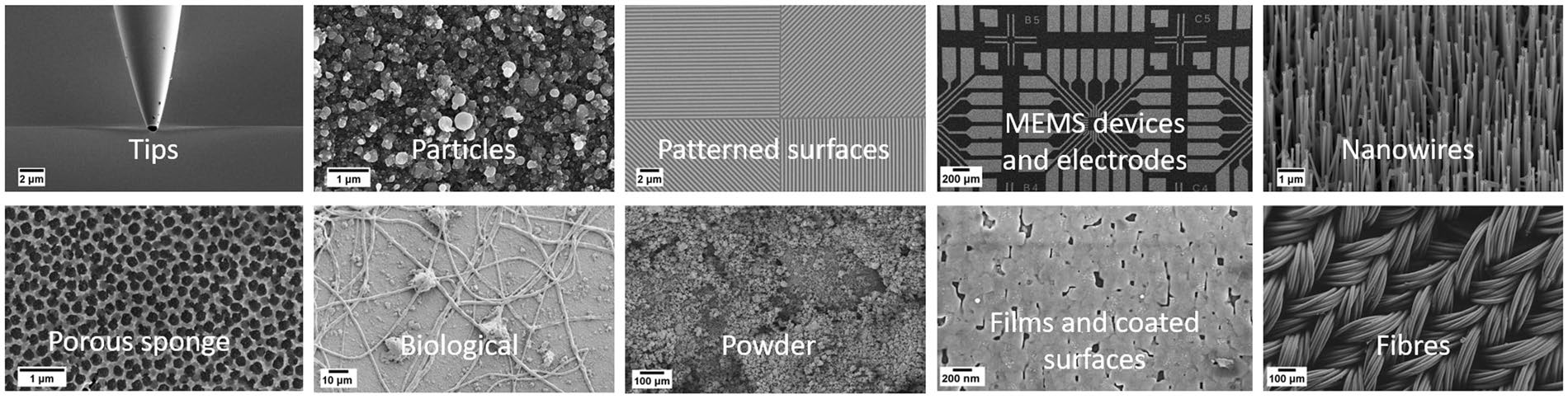 Grid of ten scanning electron micrographs labeled by material morphology class.