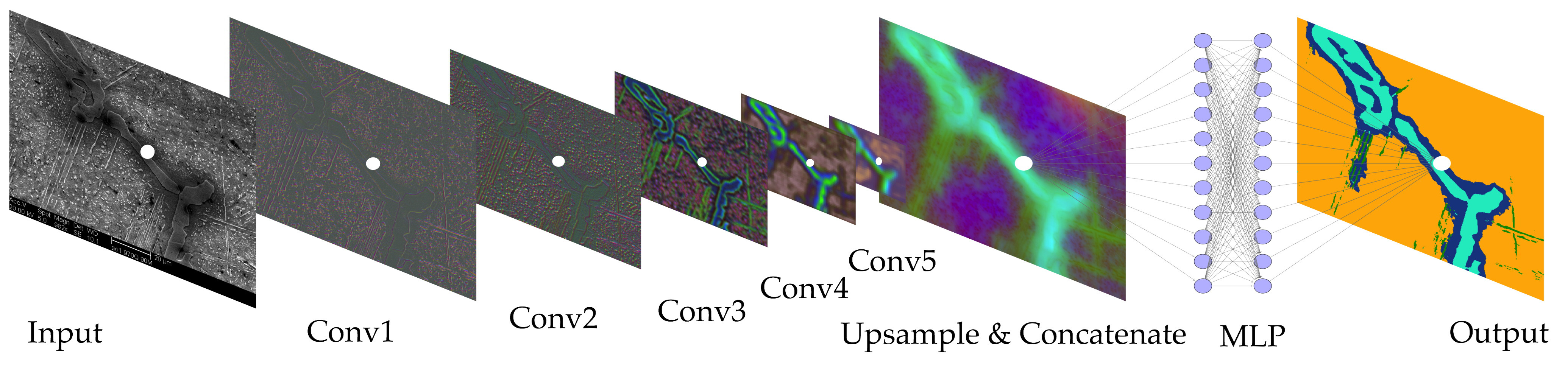 Encoder + upsample + MLP segmentation pipeline.