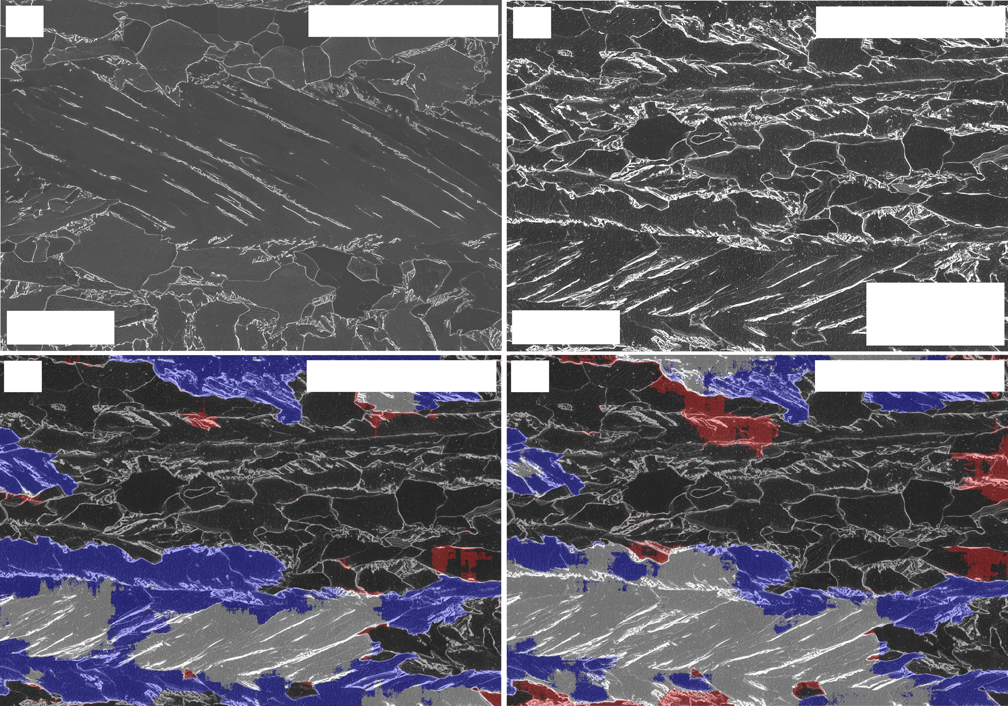 Bainite instance segmentation results on LOM and SEM.