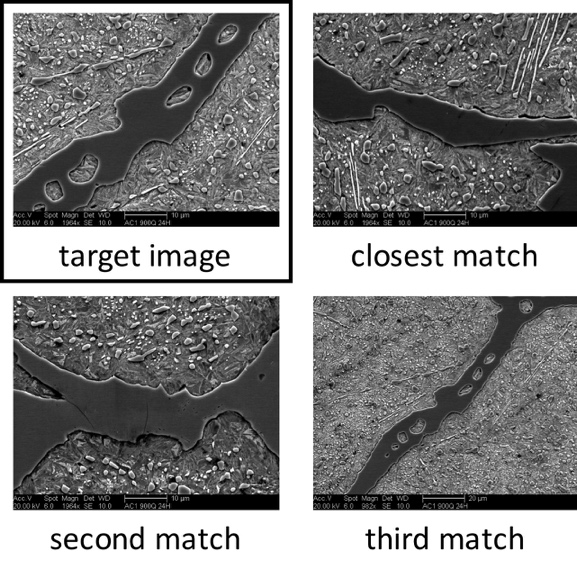 Target micrograph and three nearest CNN-feature neighbours.