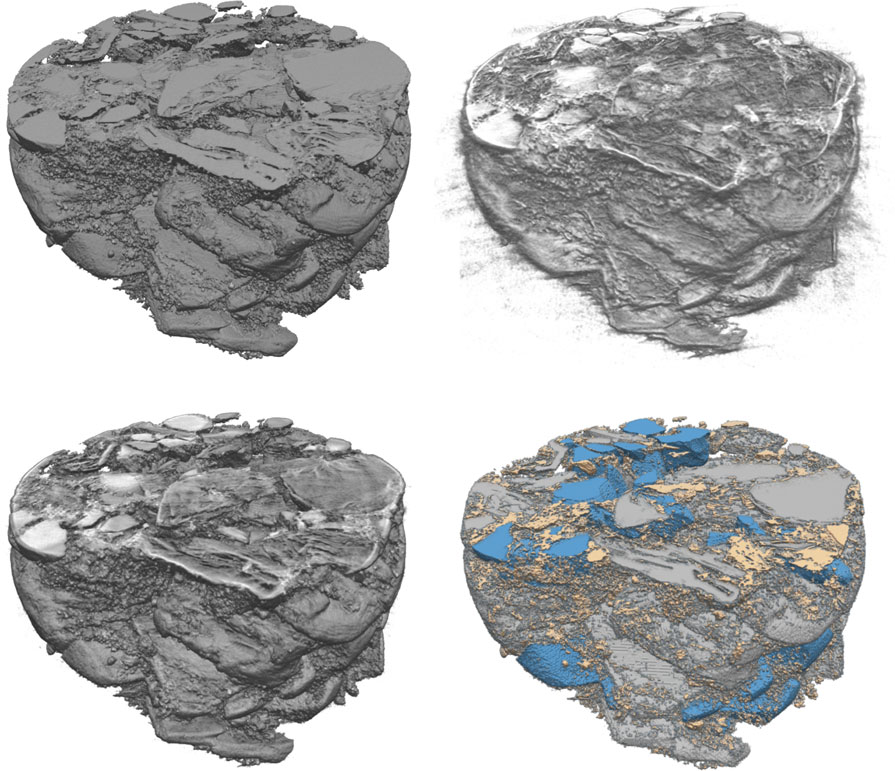 3-D X-ray CT volume and three-class segmentation.