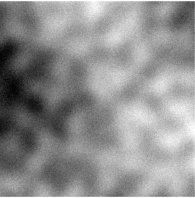 Simulated bright-field TEM image used for training.